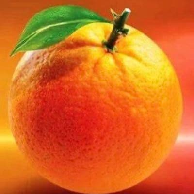 Orange Democratic Movement Party