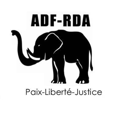 Rassemblement National Des Jeunes Liberaux